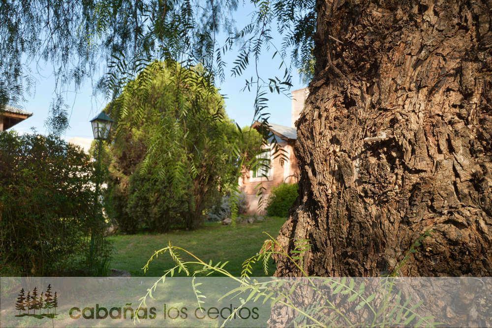 Cabanas Los Cedros Hotel Tanti Kültér fotó